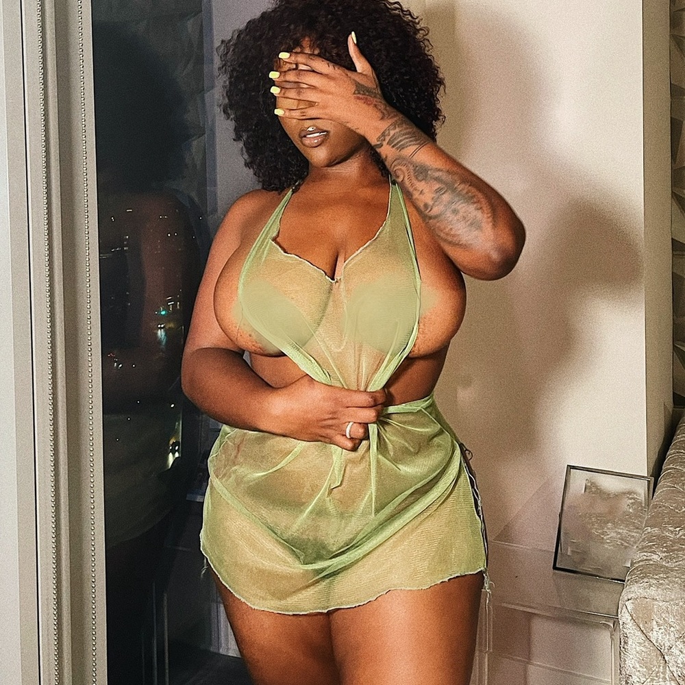 Mesh cover up dress